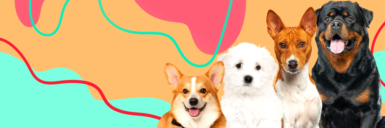 game banner