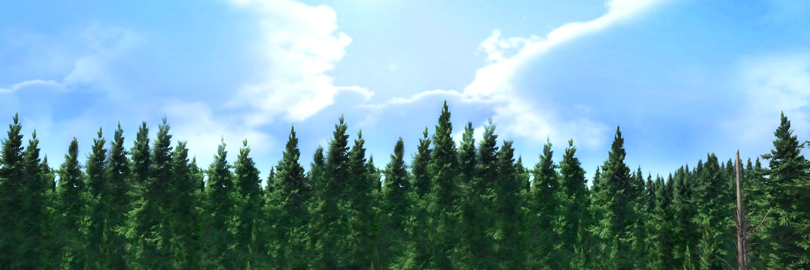 game banner