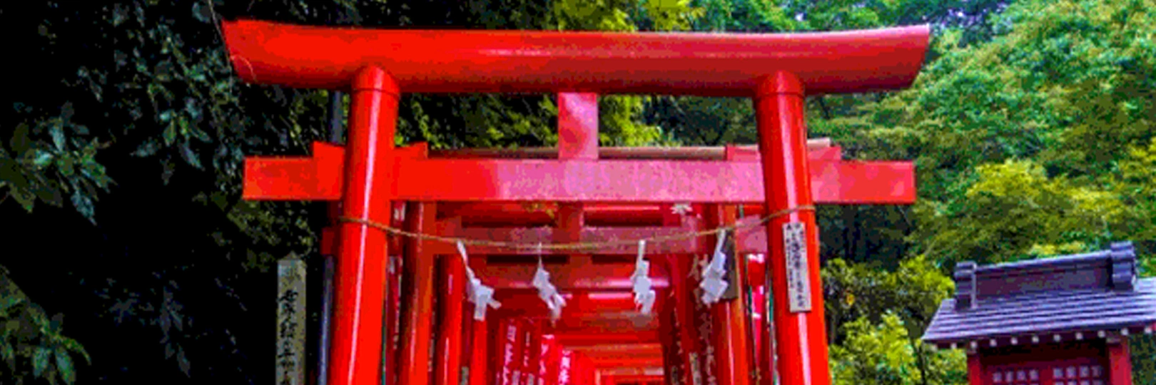 game banner