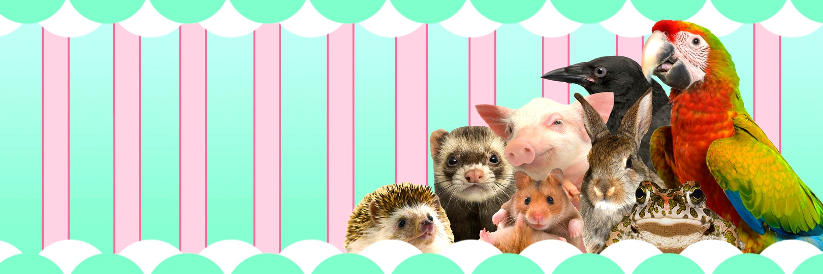 game banner